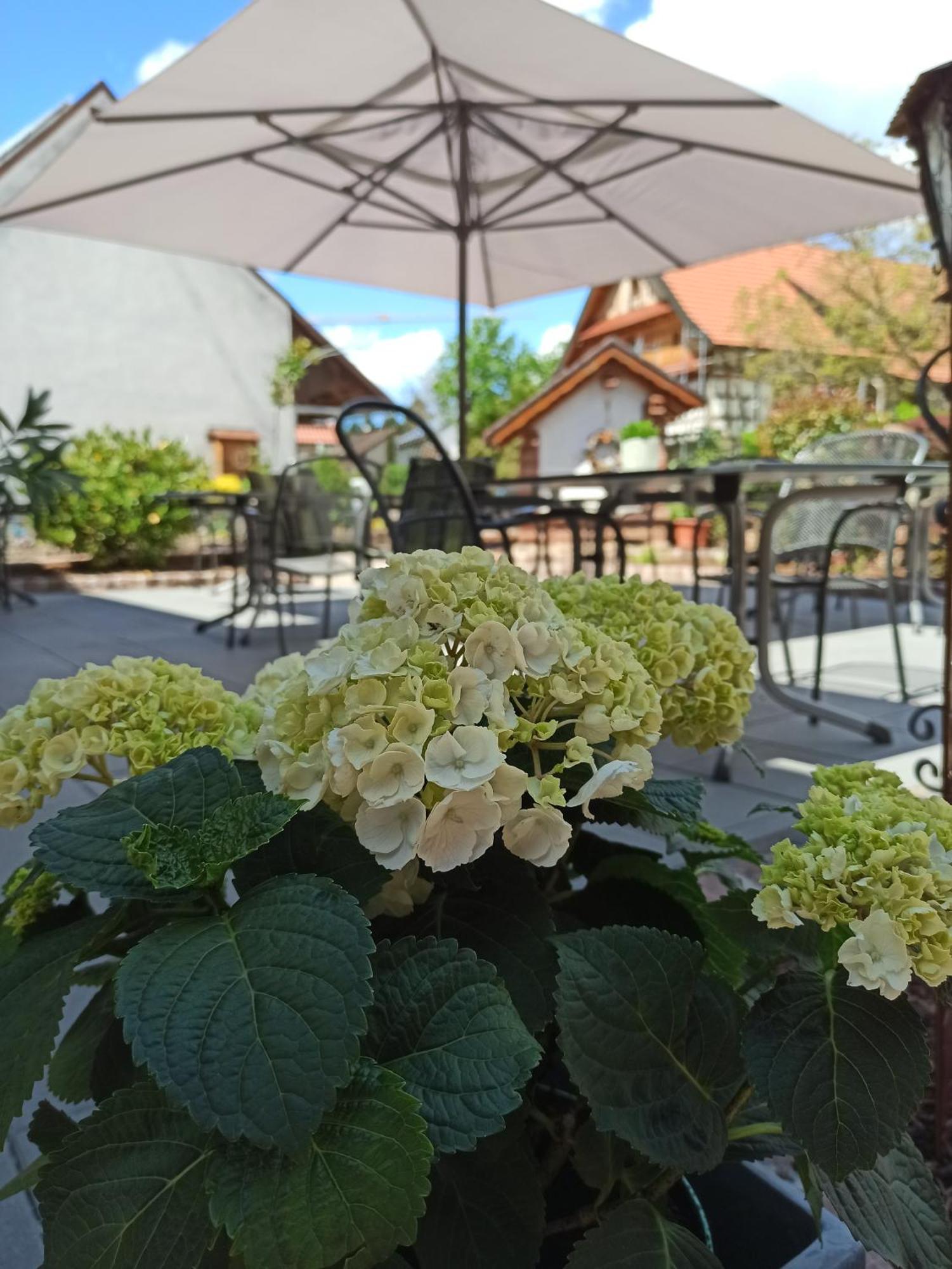 奥伯基希 蔷薇旅馆酒店 外观 照片